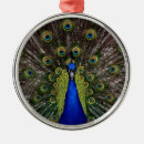 Recherche de plumes de paon ornements Bleu