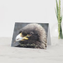 Recherche de aigles vœux cartes Faune