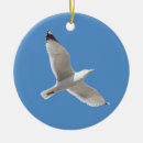Suche nach möwe ornamente Vogelvogel