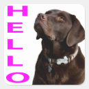 Suche nach labrador retriever aufkleber Welpe