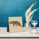 Recherche de leopard plaques Gros chats