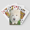Suche nach keine kamera spielkarten Hund