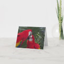 Recherche de vierges vœux cartes Rouge