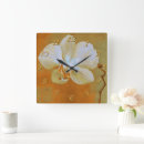 Recherche de orchidées blanches horloges Floral