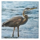 Suche nach stehend fliesen Natur