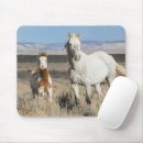 Recherche de chevaux sauvages tapis souris Jument