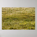 Suche nach beamer poster Abstrakt