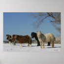 Recherche de miniature posters Cheval