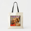 Recherche de petit chien sacs Teckel