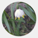 Recherche de fleur de neige autocollants Floral