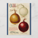 Recherche de oignons cartes postales Vintage