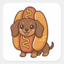 Recherche de chiot teckel autocollants Doxie