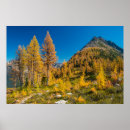 Suche nach lärche poster Herbst