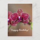 Recherche de fleurs girly cartes postales Rouge