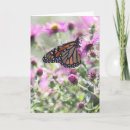 Suche nach geschlossen postkarten Sommer