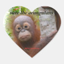 Suche nach ape aufkleber Orang utan