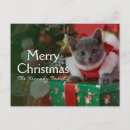 Suche nach cute cat christmas karten Animal