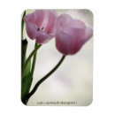 Recherche de ivoire magnets Fleurs