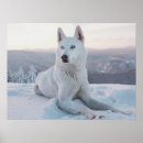 Suche nach weißer hund poster Welpen