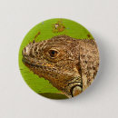 Recherche de iguane badges Nature