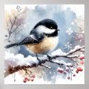 Suche nach chickadee poster Schnee