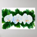 Suche nach elegante orchidee poster Aquarell