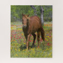 Suche nach texas puzzle Ranch