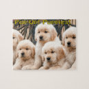 Suche nach golden retriever puzzle Tiere