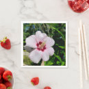 Recherche de hibiscus serviettes Rose