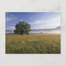 Recherche de fumée cartes postales Tennessee