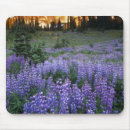 Recherche de adams tapis souris Fleur
