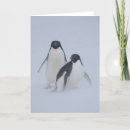 Recherche de pingouin antarctique vœux cartes Neige