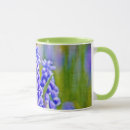 Recherche de jacinthe bleue tasses Fleur