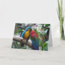 Suche nach parrots karten Vielen dank