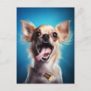 Suche nach niedlicher chihuahua postkarten Foto