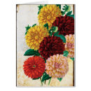 Suche nach rosa dahlie blumen postkarten Vintag