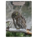 Suche nach owl klemmbrett Tierwelt