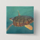 Recherche de tortue marine badges Animal