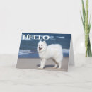Suche nach samoyeds Für sie