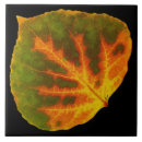 Suche nach grün blätter fliesen Orange