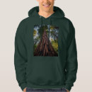 Recherche de séquoia vêtements Nature