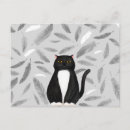 Recherche de motif animal cartes postales Chat