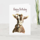 Recherche de funny goat Birthday