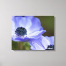 Suche nach anemonen leinwandbilder Blume