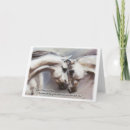 Recherche de cheval arabe blanc cartes postales Étalon