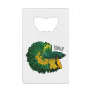 Suche nach betta haustier wohnen zuhause Kampffisch