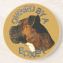 Suche nach boxer untersetzer Haustier