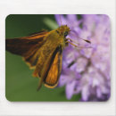 Recherche de âme tapis souris Papillon