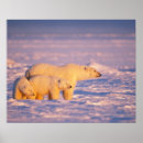 Recherche de stever art Faune