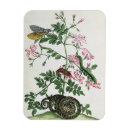 Suche nach motten magnete Insekten